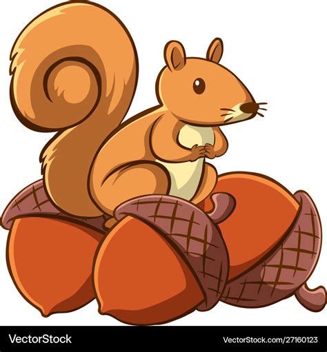 acorn cartoon drawing|squirrels with acorns cartoon pictures.